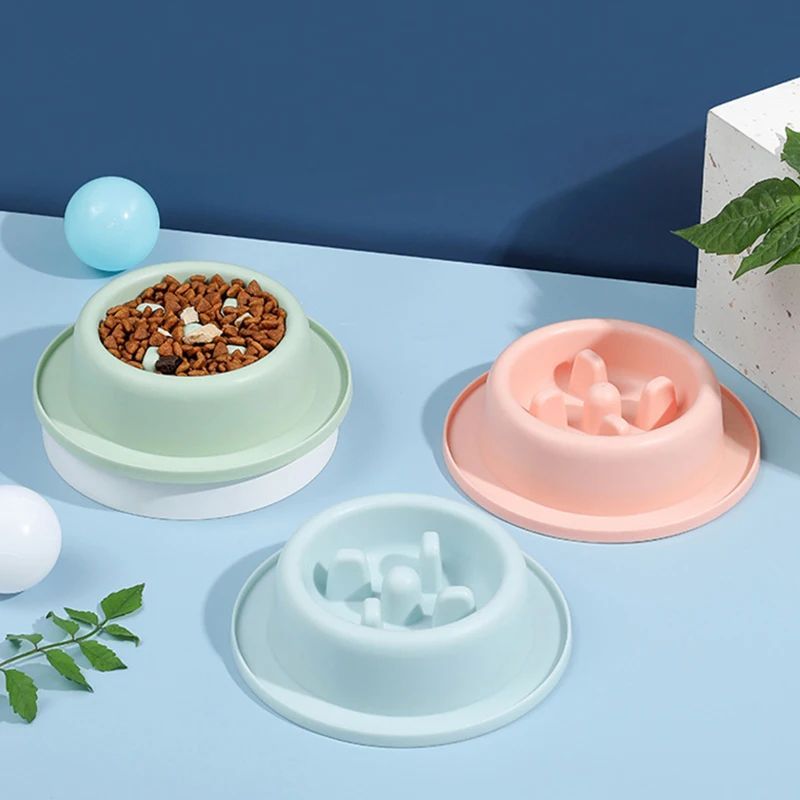 Dog Bowls Double Dog Water And Food Bowls
