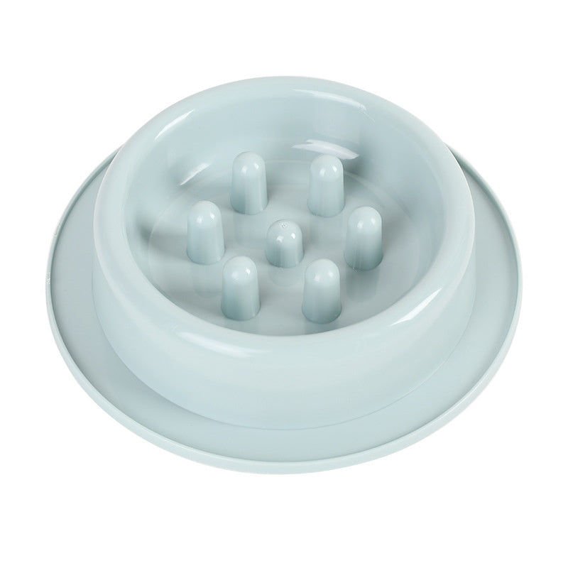 Dog Bowls Double Dog Water And Food Bowls