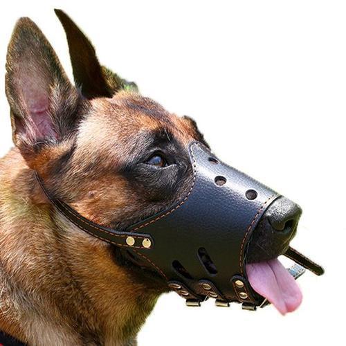 Anti-bite And Barking Anti-eating Mask Mouth Cover For Medium And Large Dogs