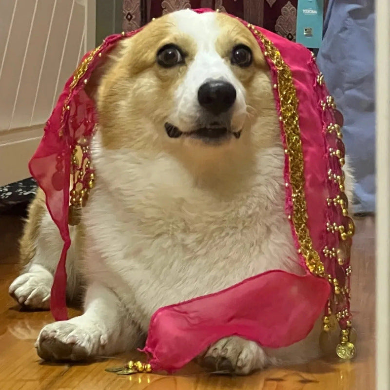 Corgi Belly Dance Fart Chain Sequined Waist Chain