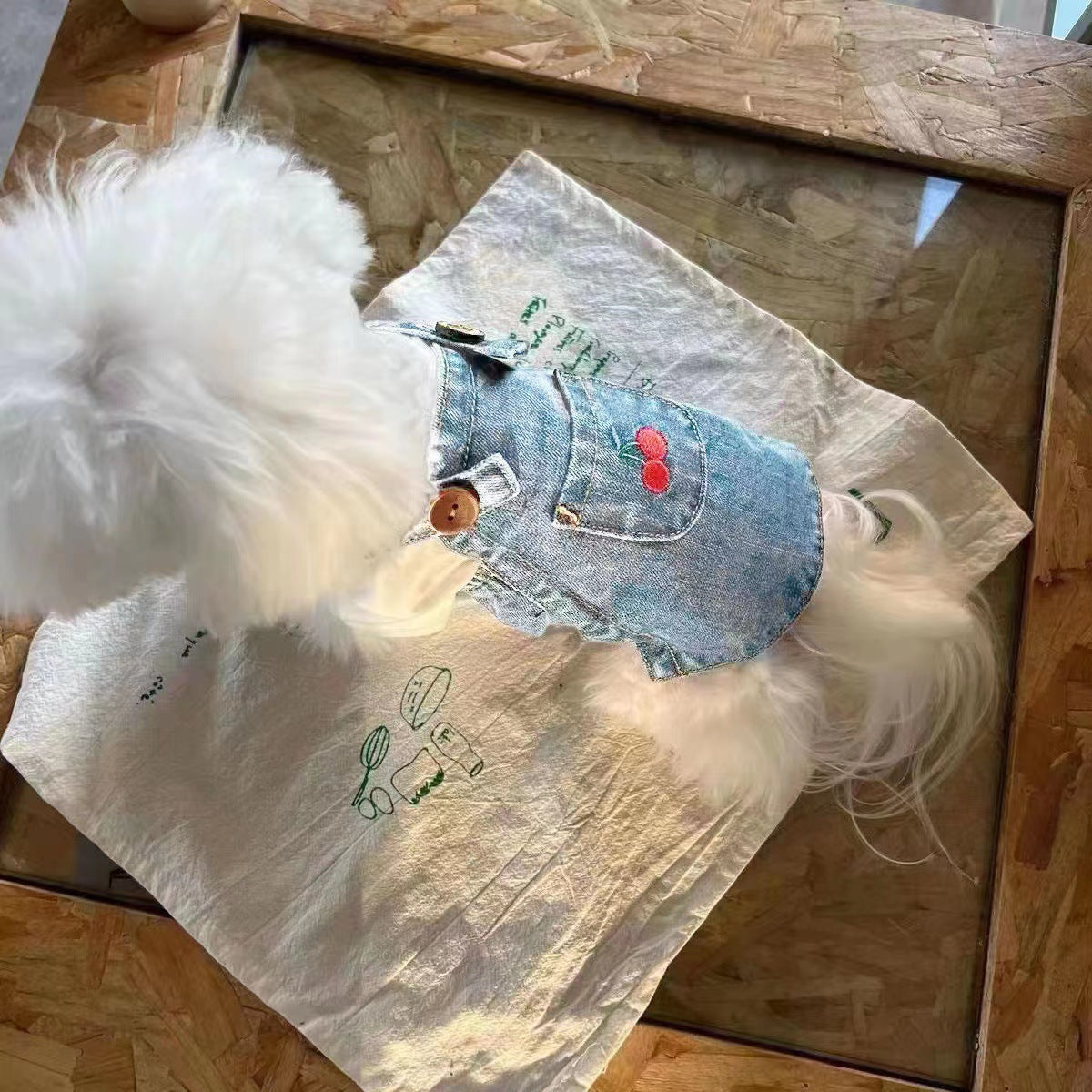 Spring And Summer Small Dog Pet Cat Denim Skirt