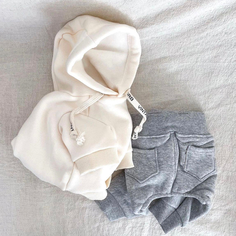 Dog Clothes Cartoon Bear Satchel Sweater