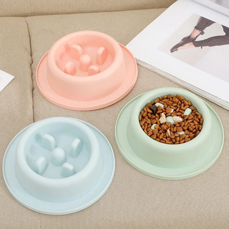 Dog Bowls Double Dog Water And Food Bowls