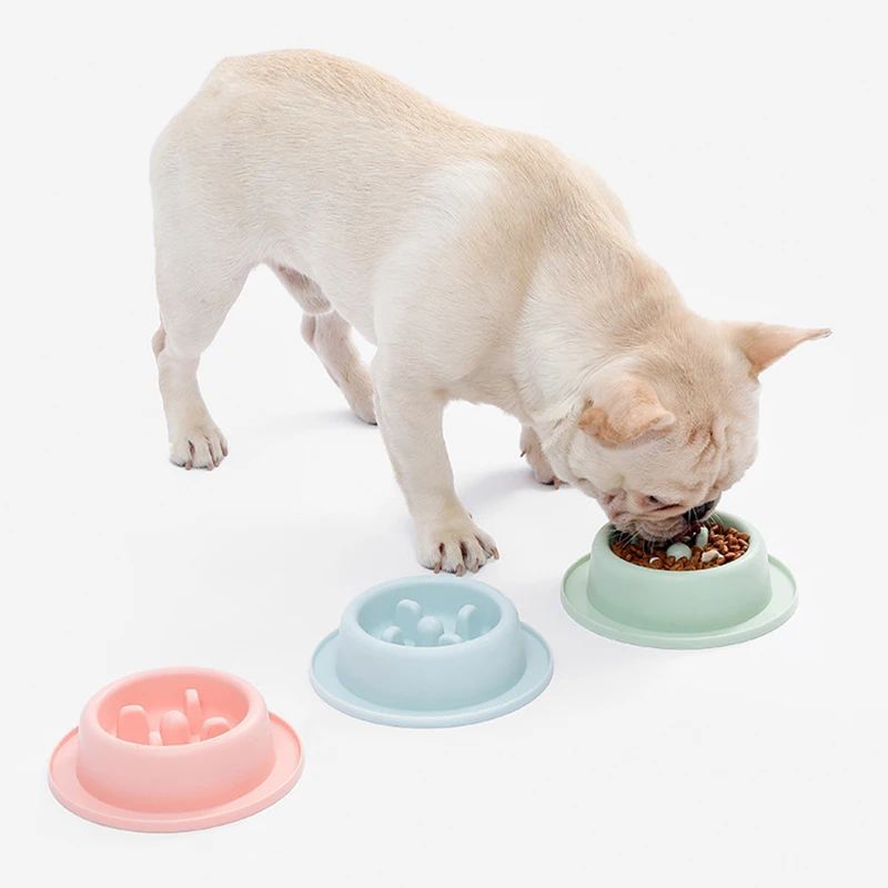 Dog Bowls Double Dog Water And Food Bowls