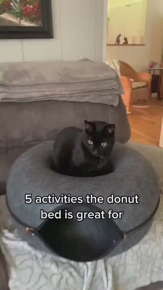 1.mp4